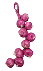 Fake Purple Garlic String 
