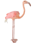 Flamingo - 90cm 