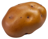 Large Potato 