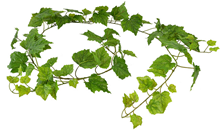 Grape Vine Garland - 180cm