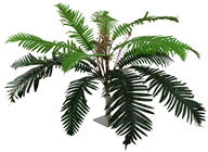 Artificial Sword Fern - 70cm