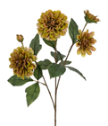 Dahlia SPray Green - PACK of 12 