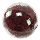 Reindeer Moss - Burgundy 