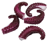 Octopus Tentacles - Pk.5 