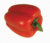 Red Pepper 