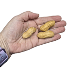 Fake Monkey Nuts - Peanuts in Shell, 