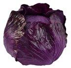 Replica Red Cabbage 