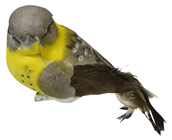 Yellow and Grey Garden Bird with Clip 
