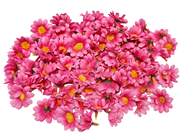 Scatter Flowers - Pink 