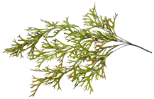 Green-Brown Seaweed Hanger 
