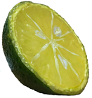 Fake Lime Half 