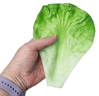 Lettuce Leaves - Pk.5 