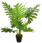 Split Philodendron Plant in Pot - 80cm 