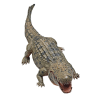 Green Baby Crocodile 