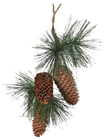 Pinecone Hanger 