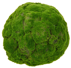 Moss Ball - 23cm 