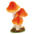 Orange-Brown Mushroom Group - 18cm 