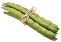Light Green Beans - Pk.6 