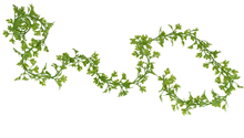 Parsley Garland 