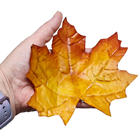 Flexible Autumn Leaves - Pk.118 