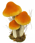 Yellow Mushroom Group - 25cm 