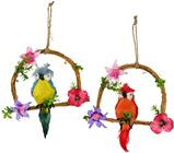 Parrot on Decorative Swing - 2 Asst.%2 