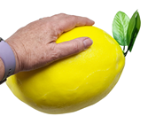 Fake Giant Lemon - Slight Second 