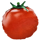 Giant Plush Tomato 