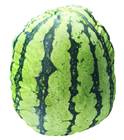 Giant Plush Watermelon 