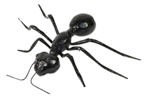 Life-Like Large Ant - 15 x 12cm 