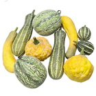 Assorted Gourds - Pk.10 