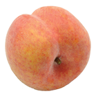 Lifelike Peach - Weighted 