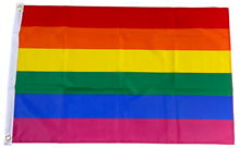 Gay Pride Rainbow Flag 90 x 60cm 