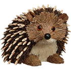 Spiky Hedgehog 
