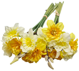 Narcissus Daffodil Spring Flower Bunch,% 