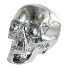 Shiny Silver Skull with Moveable Jaw 