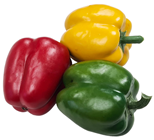 Set of 3 Bell Peppers 