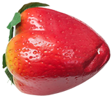 Giant Fake Strawberry - Slight Second 