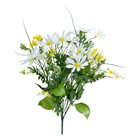 Marguerite Daisy Bunch 