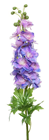 Purple Delphinium Stem - 81cm 