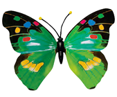Green Butterfly - 50 x 35cm 