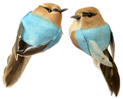 Light Buff and Blue Decorative Bird with Clip - Pk.2