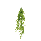 Green Plastic Seaweed Hanger - 75cm 