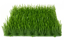 Weatherproof Interlocking Grass Square -%2 