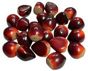 Fake Chestnuts - Pk.25 