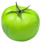 Green Tomato -8x7cm, Slight Second 