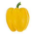 Realistic Yellow Bell Pepper 