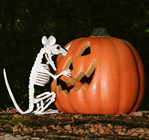 Halloween Light-Up Pumpkin 