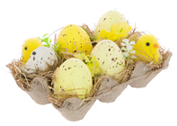 Easter Eggs & Chicks in Egg Box
