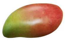 Artificial Mango 
